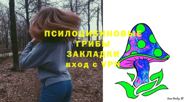 МДПВ Алзамай