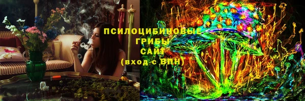 сатива Новокубанск
