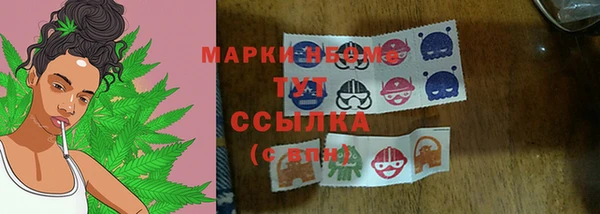 МДПВ Алзамай