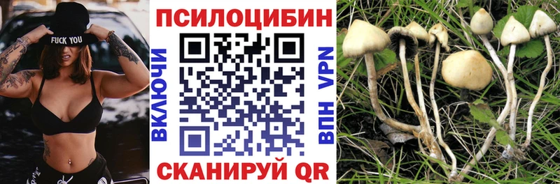 даркнет Telegram  Троицк  Галлюциногенные грибы Psilocybine cubensis  купить наркоту 